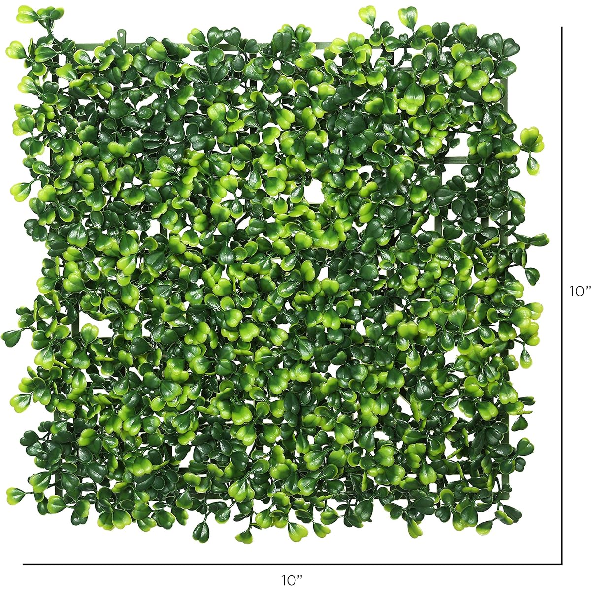 Vickerman Everyday Artificial Boxwood Mat, 10" Square, Set of 4, Faux Greenery Decorations for Weddings, Birthday Party Decorations, Flowers, Fairy Gardens, Craft Supplies