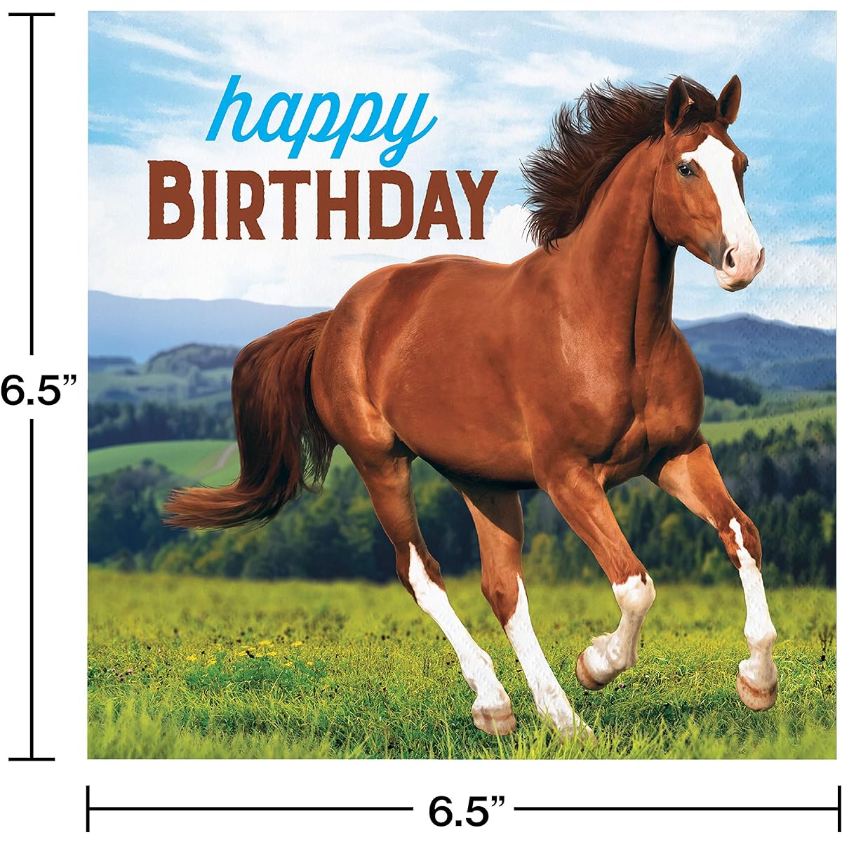 Wild Horse Happy Birthday Napkins, 48 Count