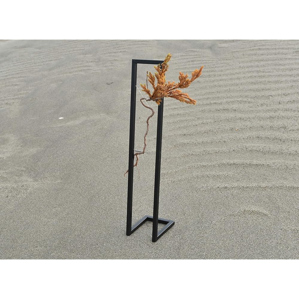 General Incorporated Association World Dry Bonsai Association Bonsai, Dry Bonsai, Dry Bonsai, DRY BONSAI Dry Bonsai/Iron Frame Decoration 4582522520243 Interior Object Gift Yellow Body: Depth 14cm Body: Height 35cm Body: Width 14cm