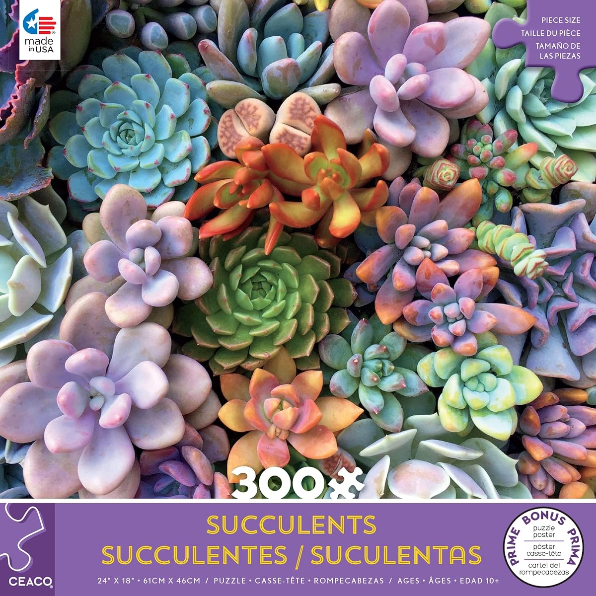 Ceaco Succulents Cute Pastel 300 Piece Jigsaw Puzzle