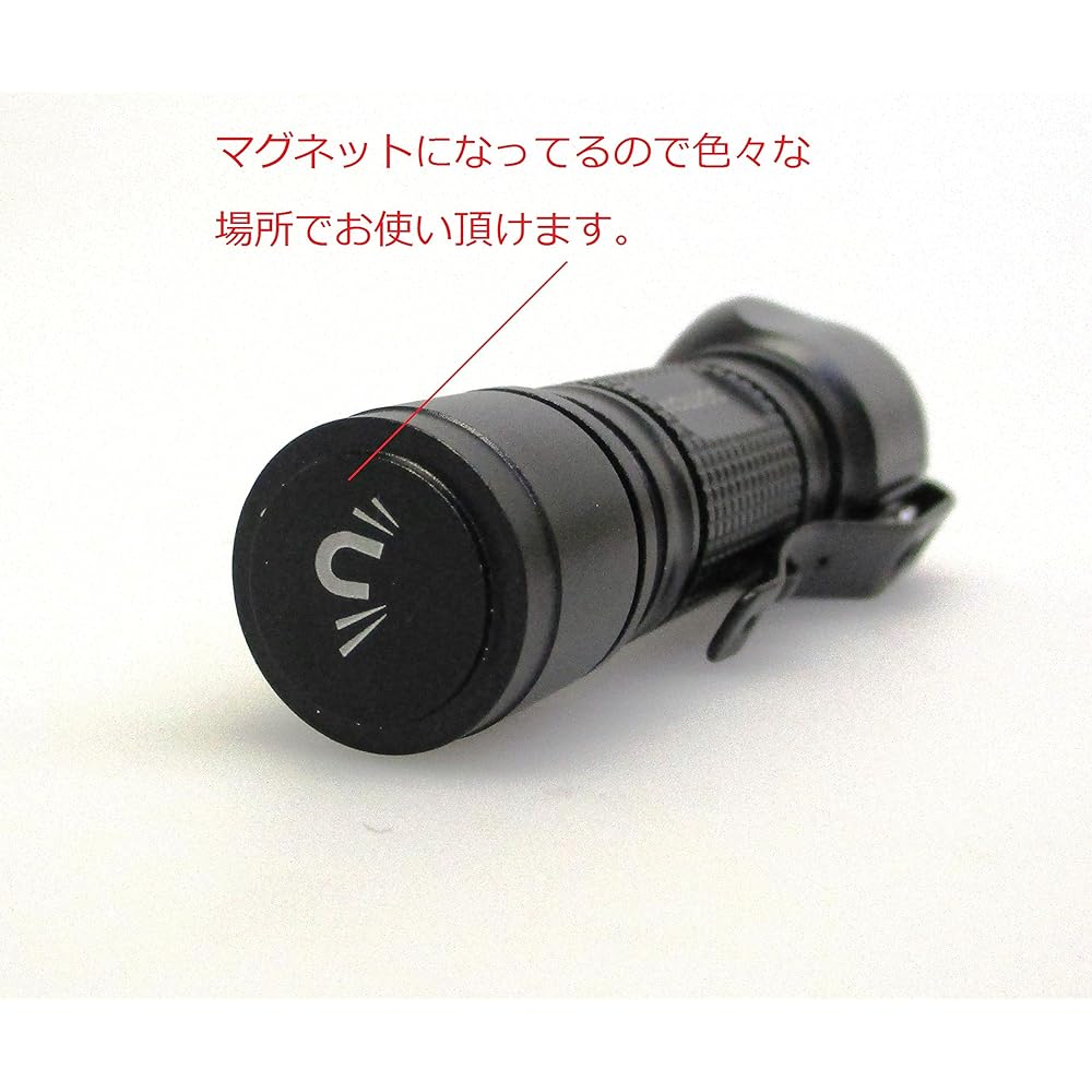 SIGHTRON LED light BRIGHT-TECH EX100AL Brightness 100 lumens Waterproof SOS mode Flashing mode BT1007