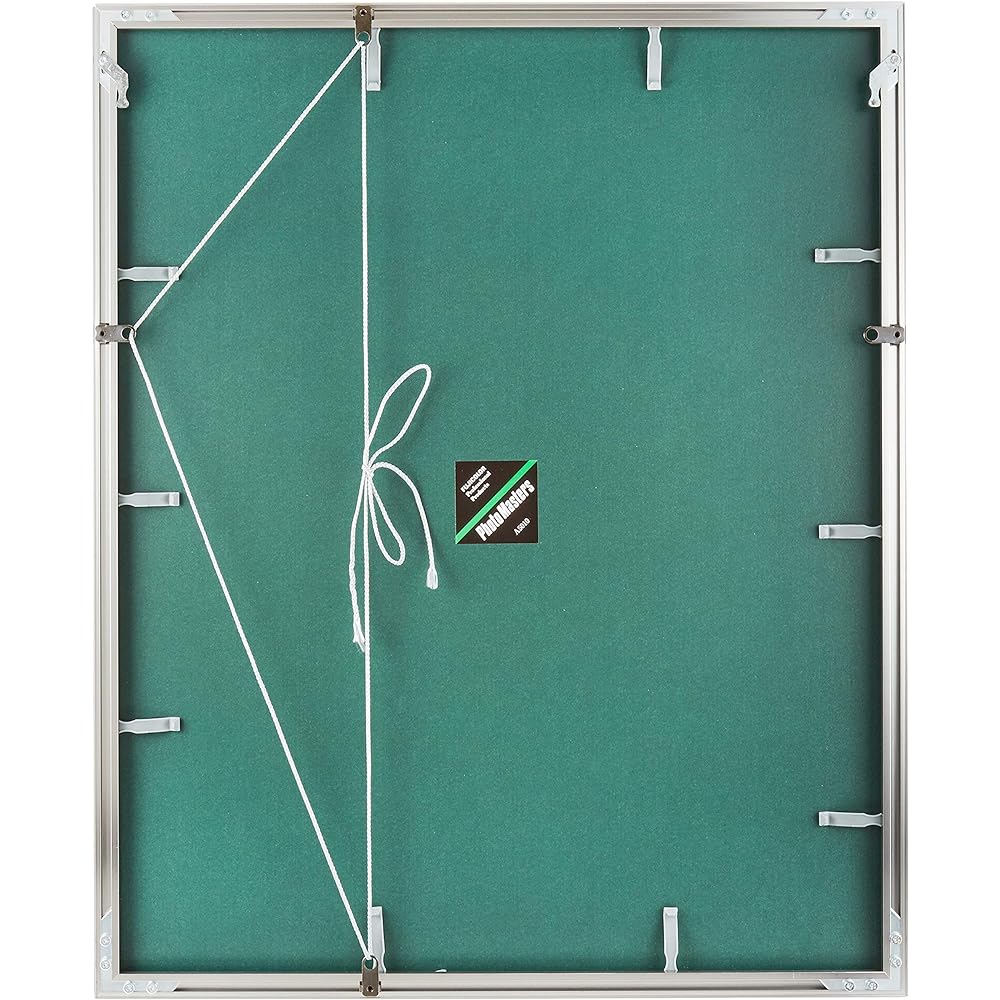 FUJICOLOR Picture Frame Wide Matte Frame A5010 Acrylic Full Paper Aluminum Silver 303593
