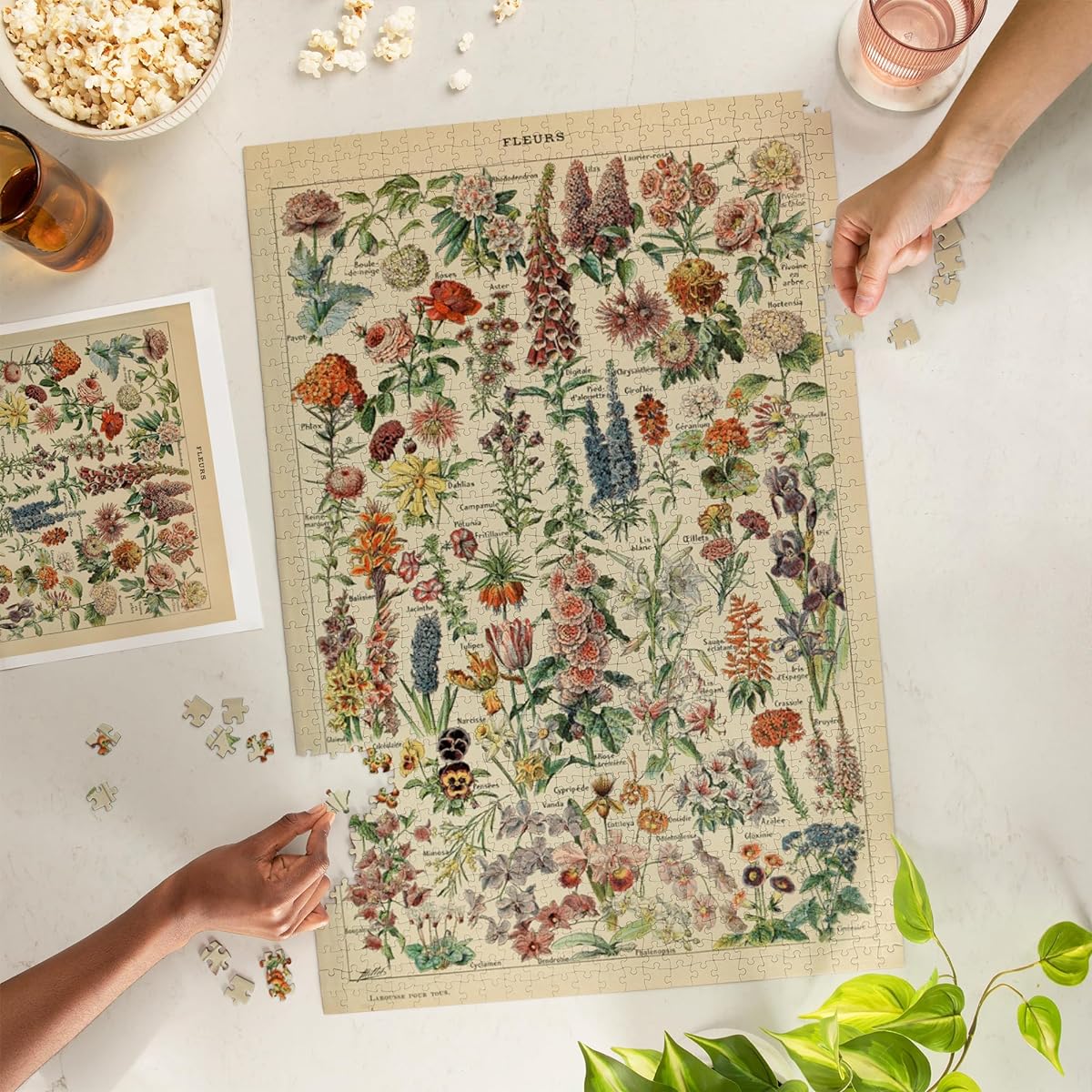 Adolphe Millot Artwork 82076 (19x27 Premium 1000 Piece Adult Jigsaw Puzzle Made in the USA