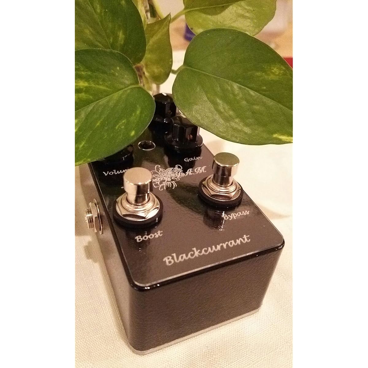 Blackberry JAM Made in Japan Original Pedal Blackcurrant