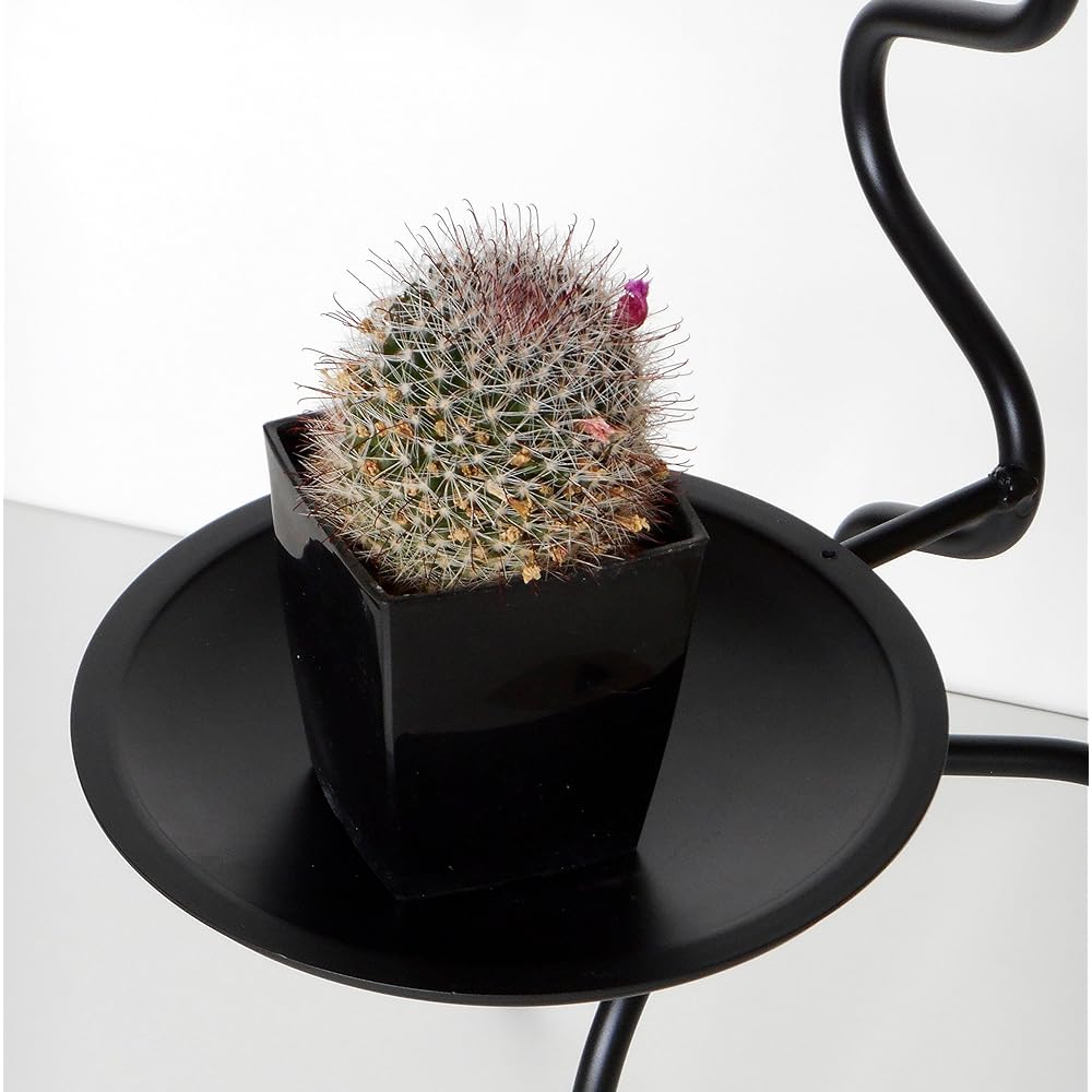 Garcon Planter HGB-013/Black