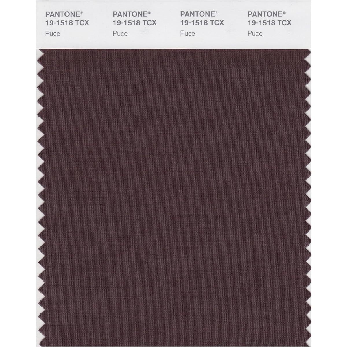Pantone Color Swatch Smart Card 19-1436X 1