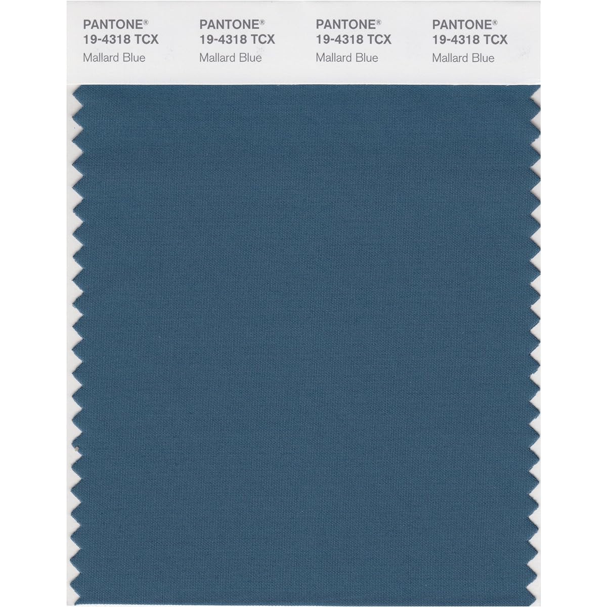 Pantone Color Swatch Smart Card 19-4110X 1