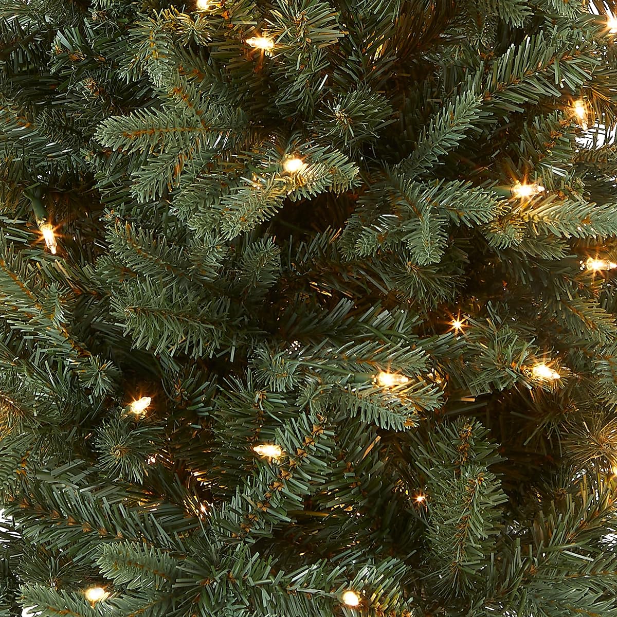 National Tree Company Artificial Mini Christmas Tree with Lights | Includes Small Lights and Fabric Bag Base | For Tabletop or Desk | Burlap - 4' x 4' Green