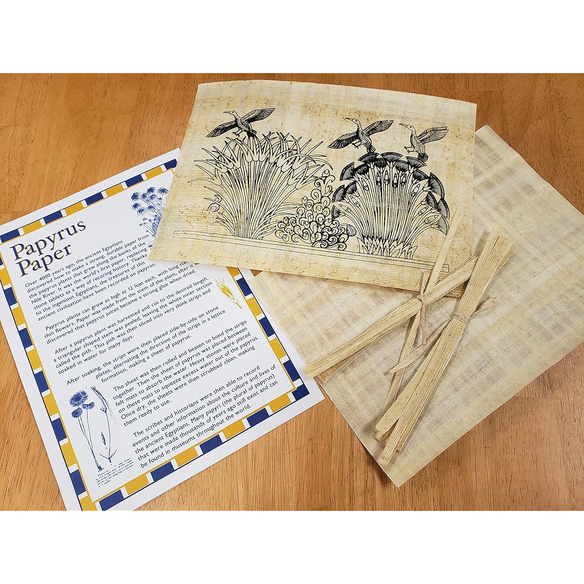 Papyrus Activity Kit Educational Papyrus Paper Craft Kit Made in Egypt