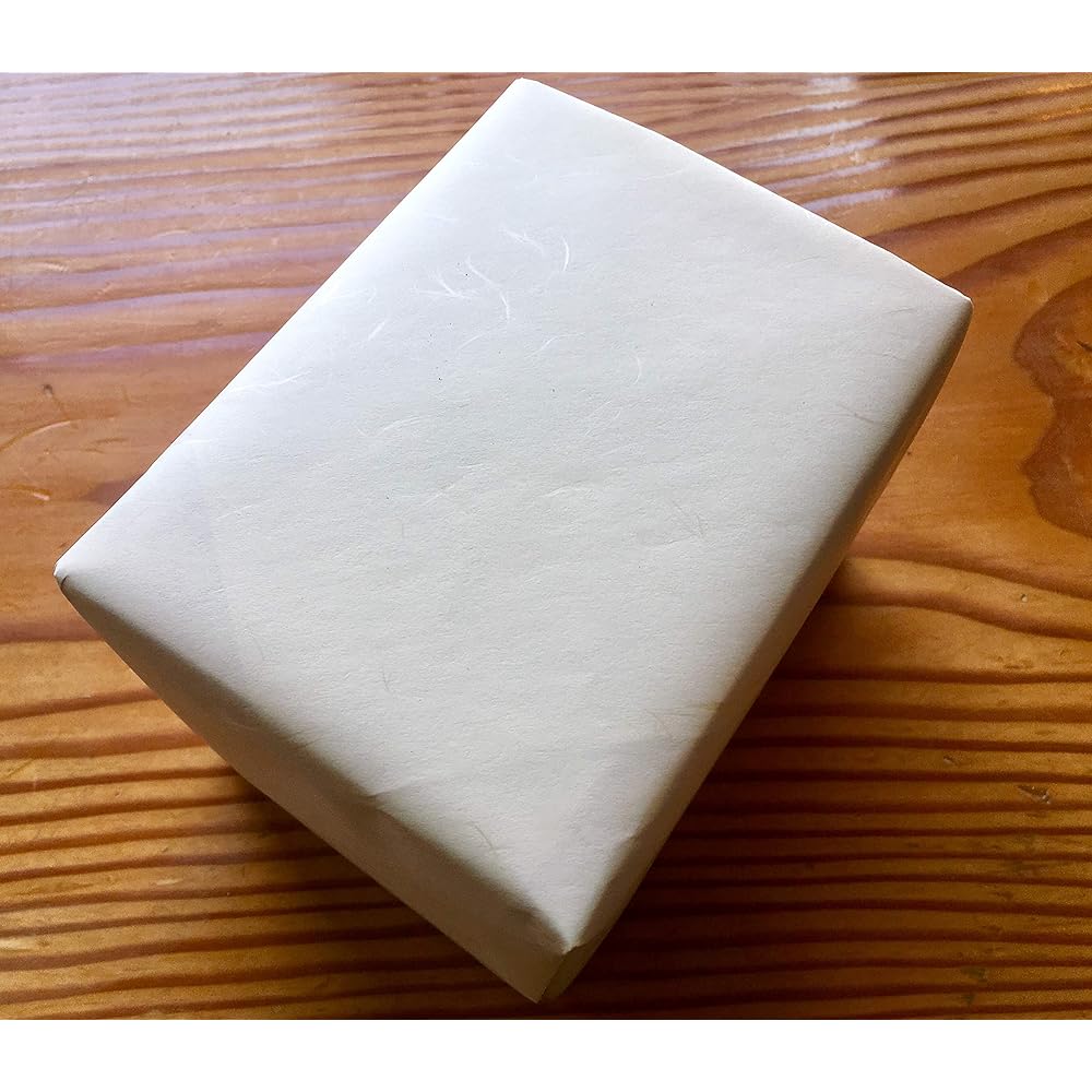 Rinkurou Kiln Dyed Nishiki Torisori Shozui Coffee Bowl and Plate Ko-Imari Style Hasami Ware Mother's Day Father's Day