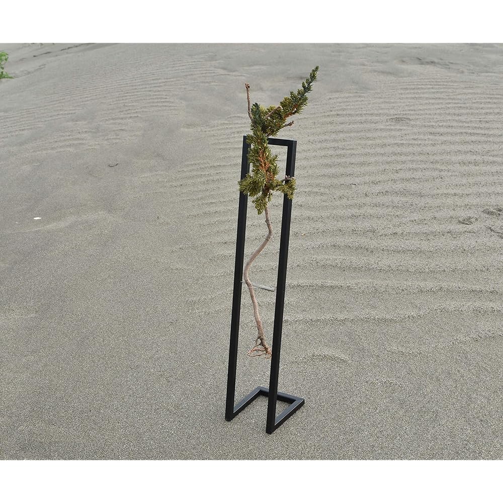 World Dry Bonsai Association General Incorporated Association Bonsai, Dry Bonsai, Dry Bonsai, DRY BONSAI Dry Bonsai/Iron Frame Decoration 4582522520236 Interior Object Gift Green Body: Depth 14cm Body: Height 35cm Body: Width 14cm