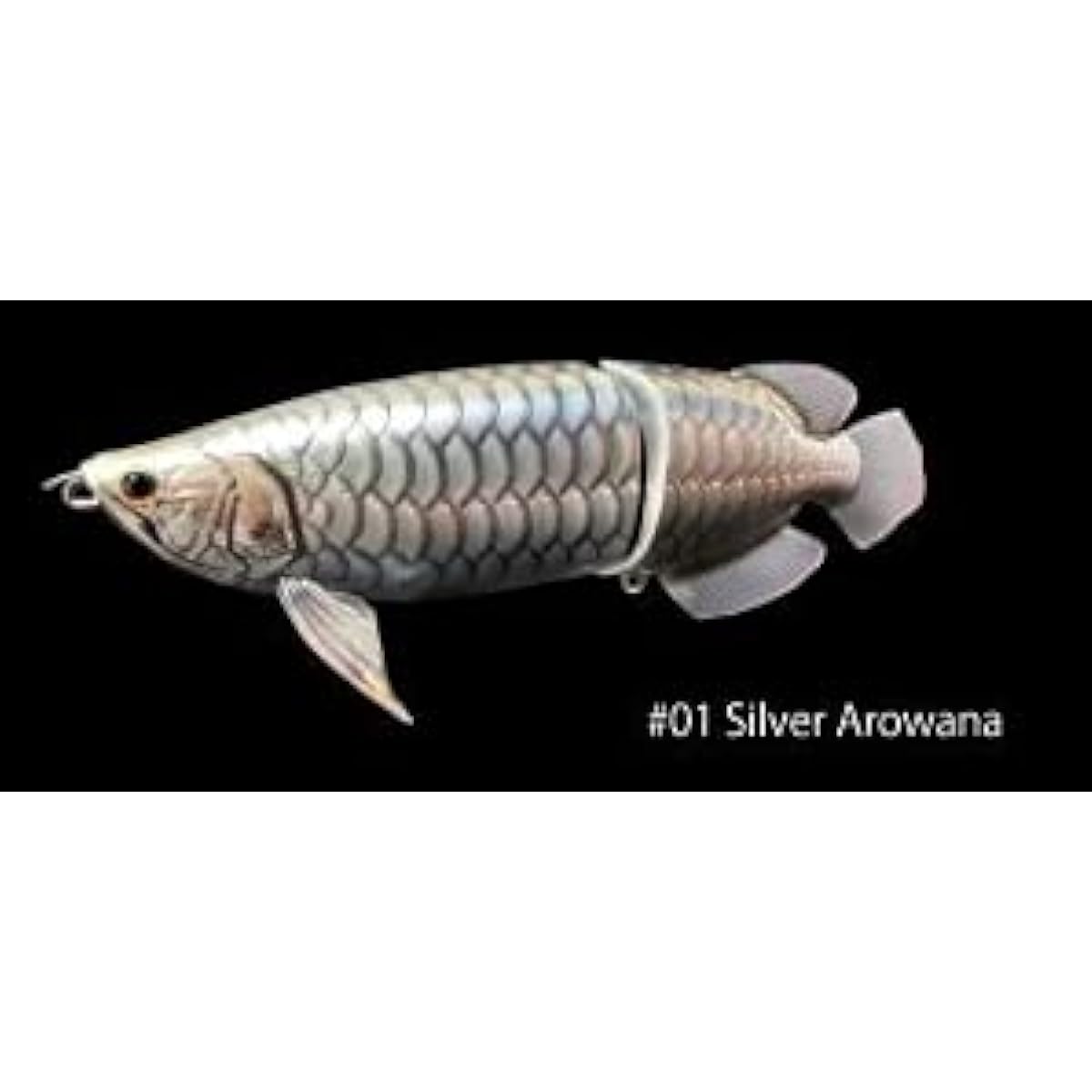 Dran Crazy Sumeragi #01 Silver Arowana