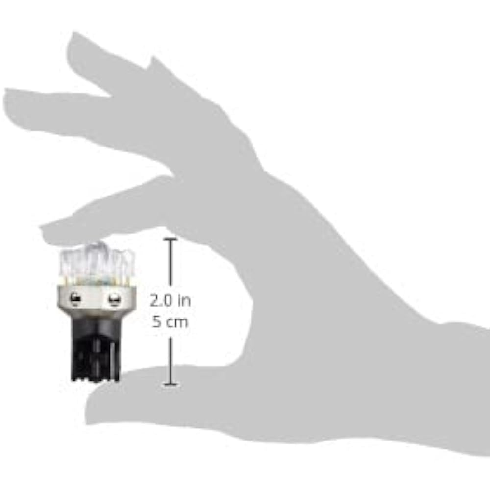 M&H Matsushima (M&H Matsushima) Eleven Beam Wedge w Red