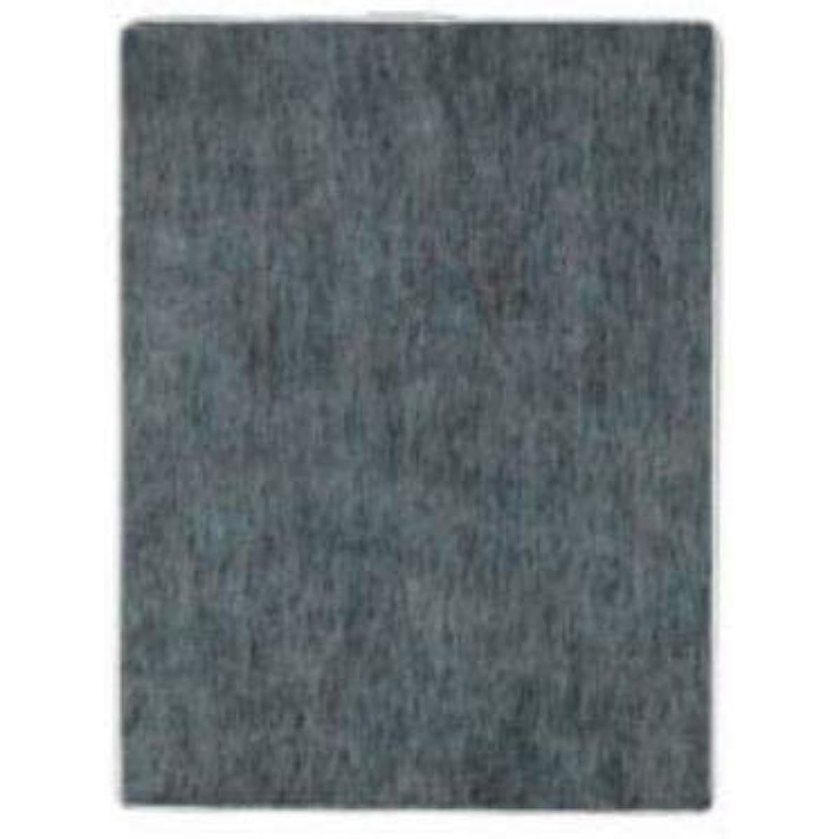 Toshiba Air Purifier Replacement Filter Set (Dust Collection + Deodorization + Sterilization) CAF-E4FS