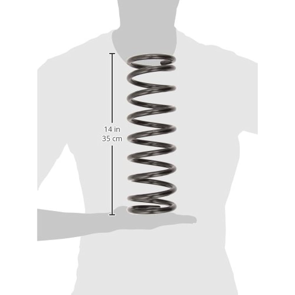 MOOG 81003 Coil Spring Set