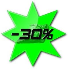 Puig: Racing Screen KAWASAKI NINJA250R 08'-11' Green puig-4626v