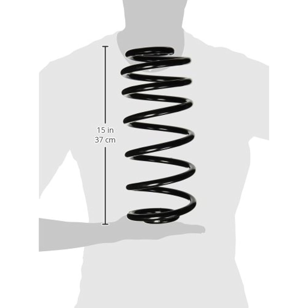 MOOG CC81365 Coil Spring Set