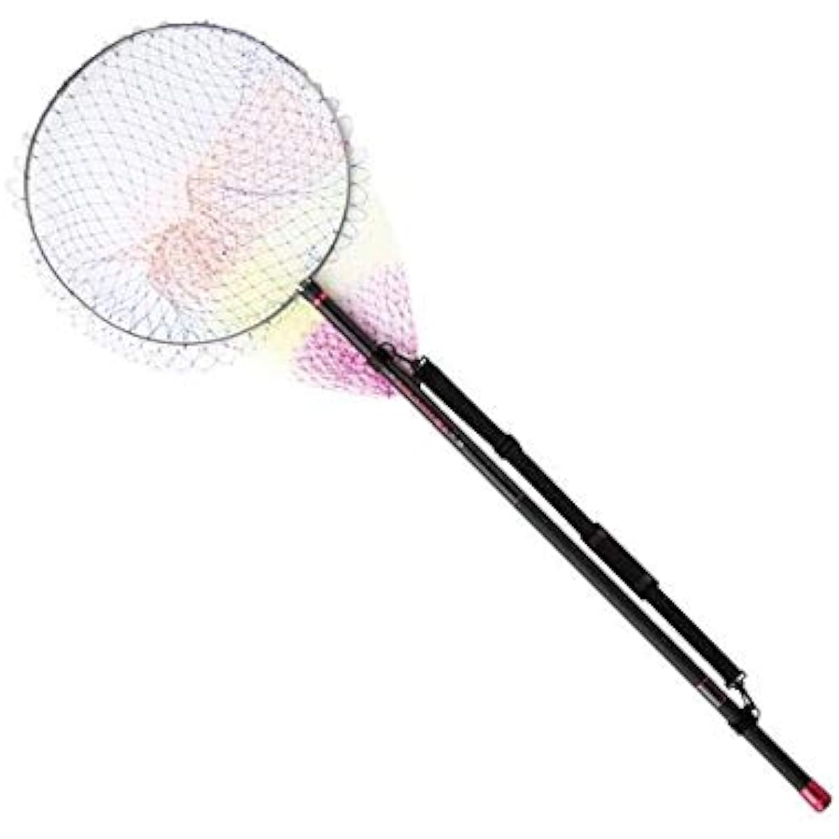 PRO MARINE Esland Isodama Set 550