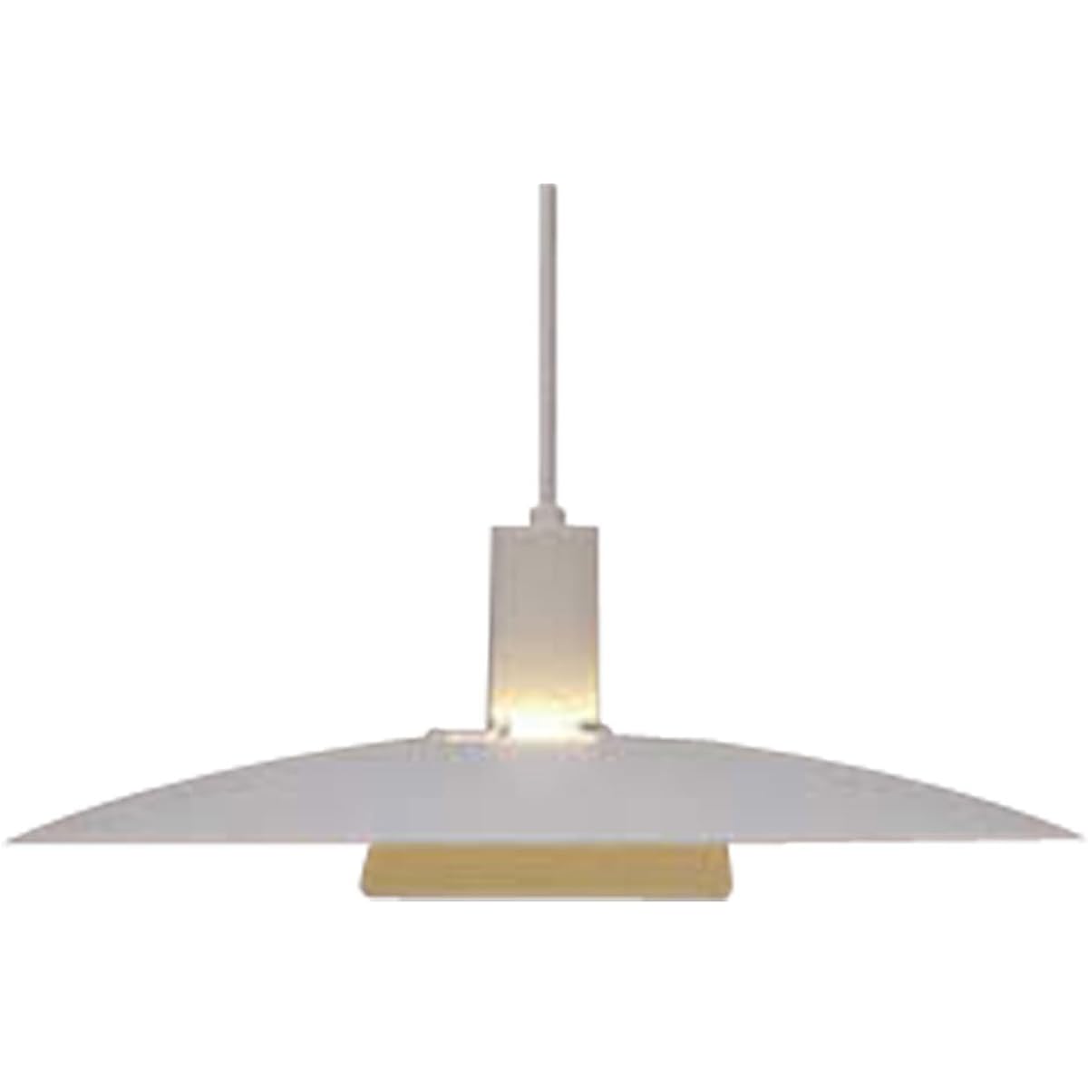 Iris Ohyama LED Pendant Light Steel Plate Shade Type White Electrical Work Required PLDS-E26F