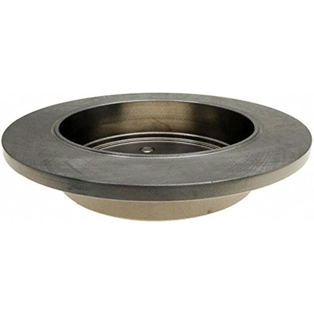 ACDelco 18A731A Advantage Non-Coated Rear Disc Brake Rotor