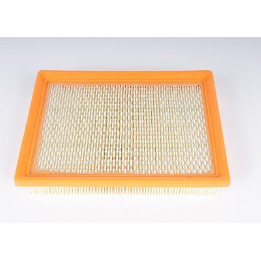 ACDELCO A2939C Professional Air Filter