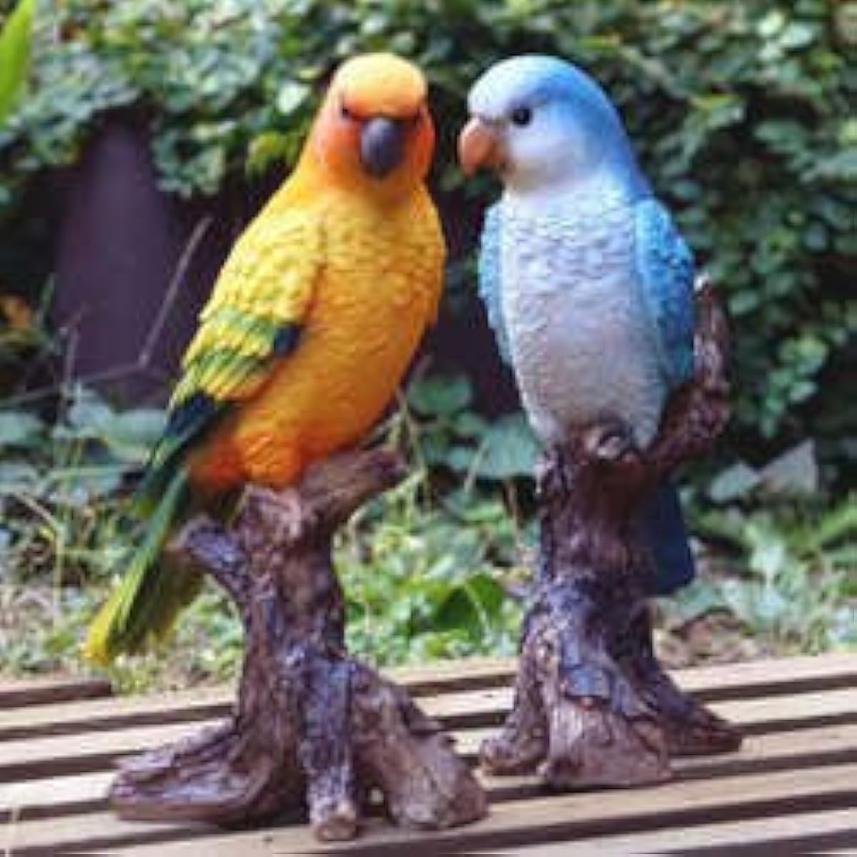 Nogawa Farm Parakeet (medium) (2 types assorted)