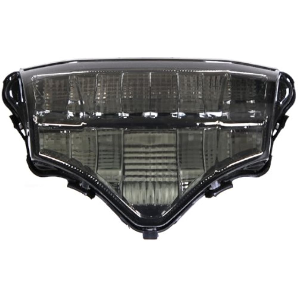 Integrated sequential LED tail tail lit Smoke lens 2004-2009 For YAMAHA FZ6