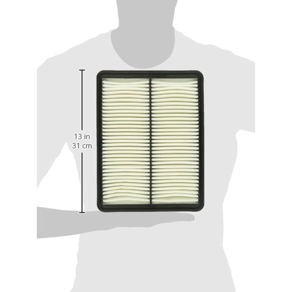 Genuine Hyundai (28113-2W100) air filter.