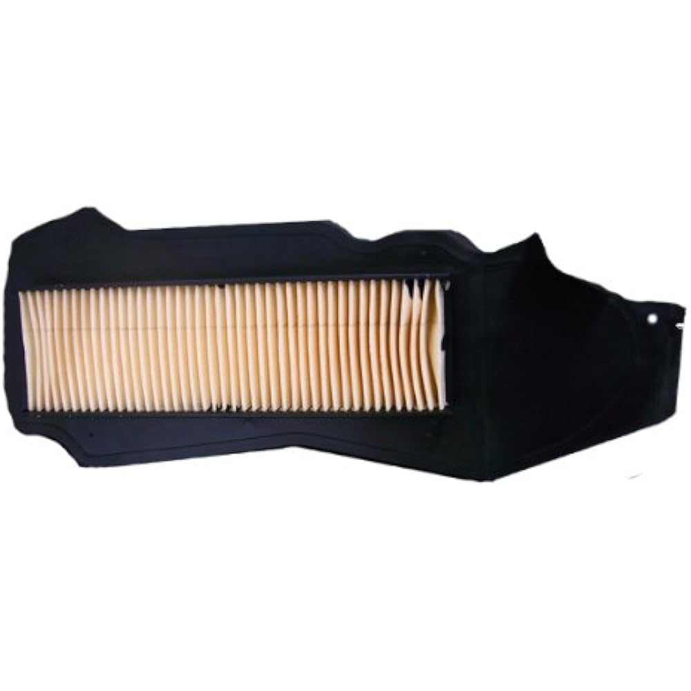 ALBA Air Filter Element Today 401-0019