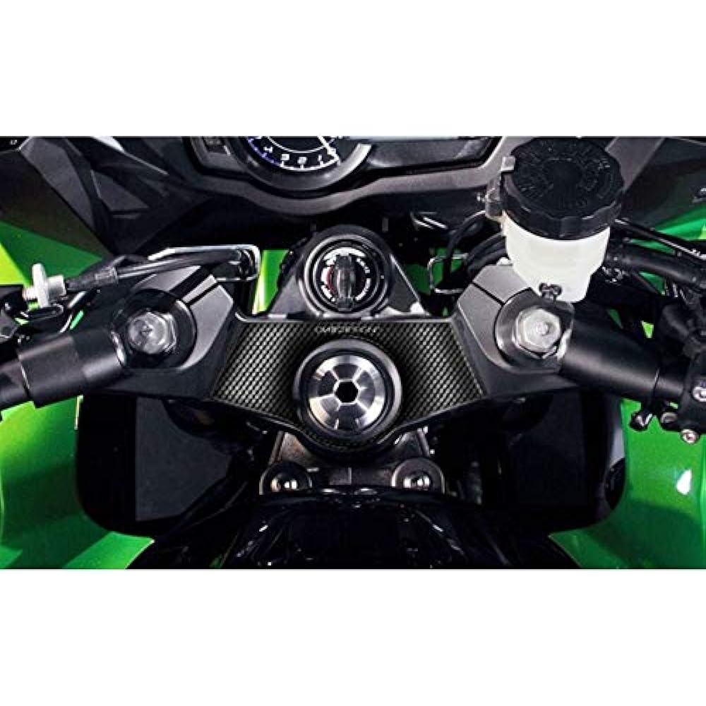 Print (Print) Top Bridge Sticker Carbon Pattern NINJA1000 (11-19)