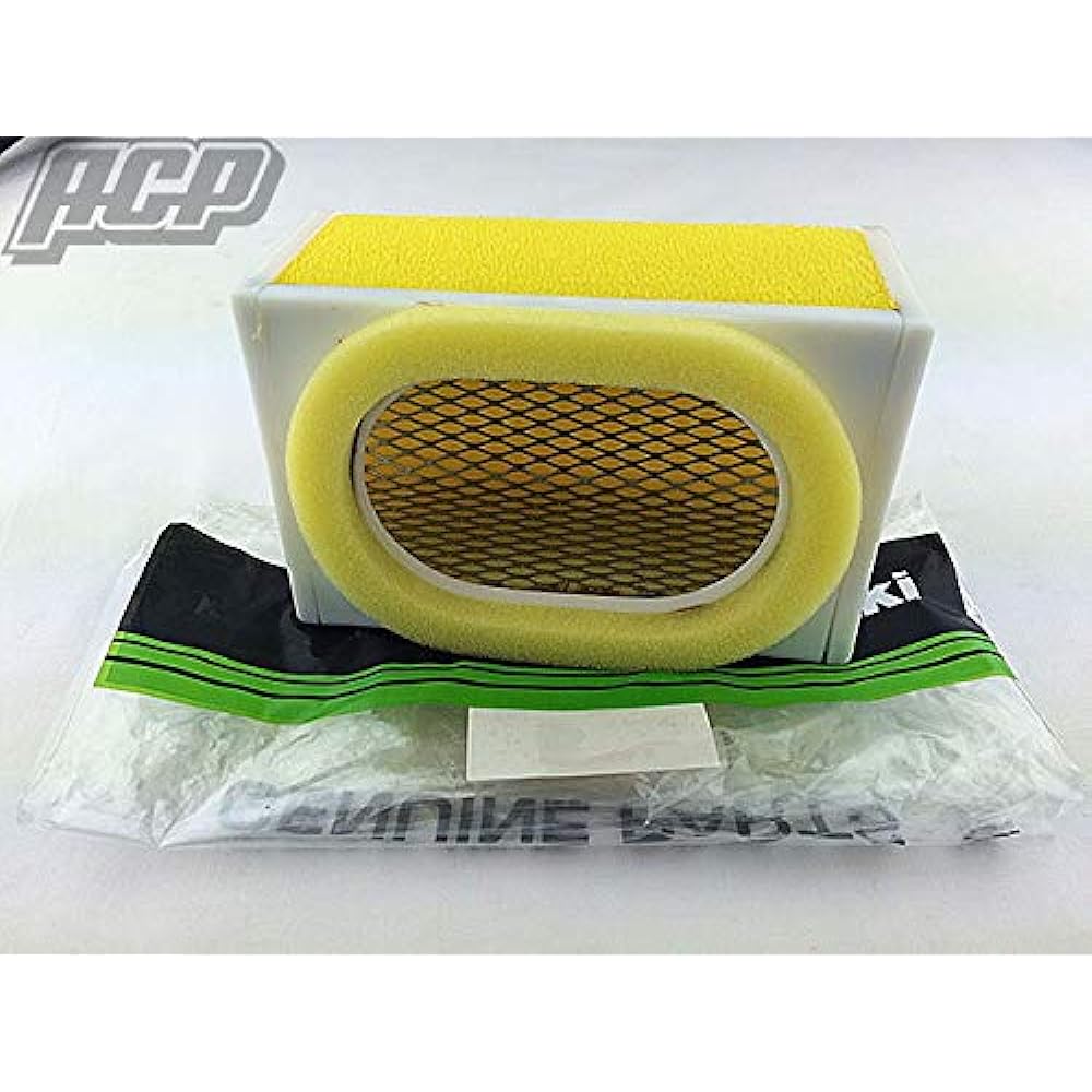 Genuine Zephyr 400 Air Cleaner Element (110131157)