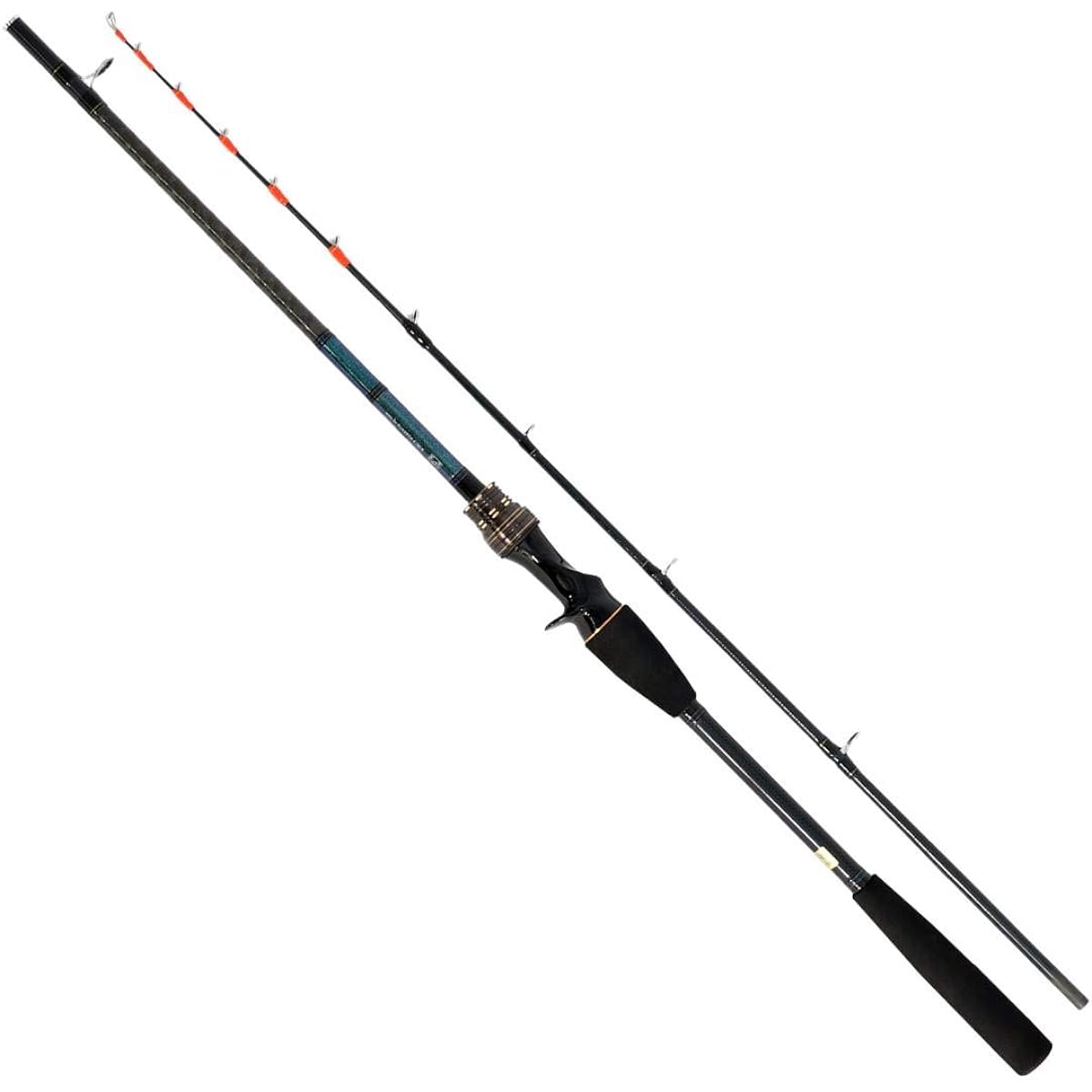 DAIWA Boat Rod Tenya Tachiuo X/R Fishing Rod