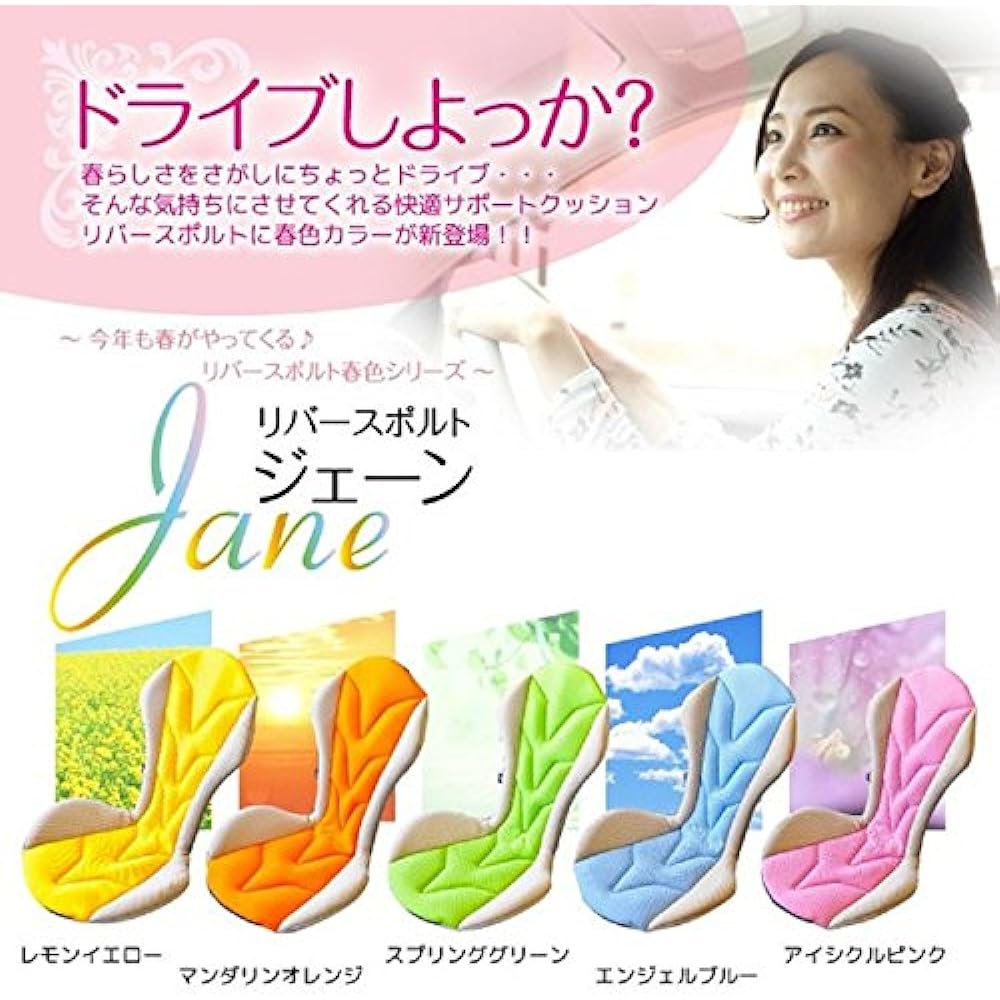 Mission Praise Sugiura Craft REVERSPORT Seat Cushion RS-1 Jane Angel Blue