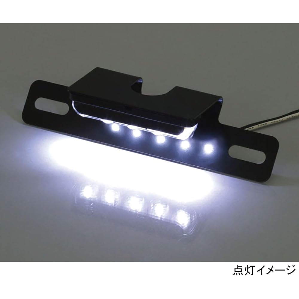 KITACO LED License Lamp Kit General Purpose (for 12V cars) Black 801-9000000