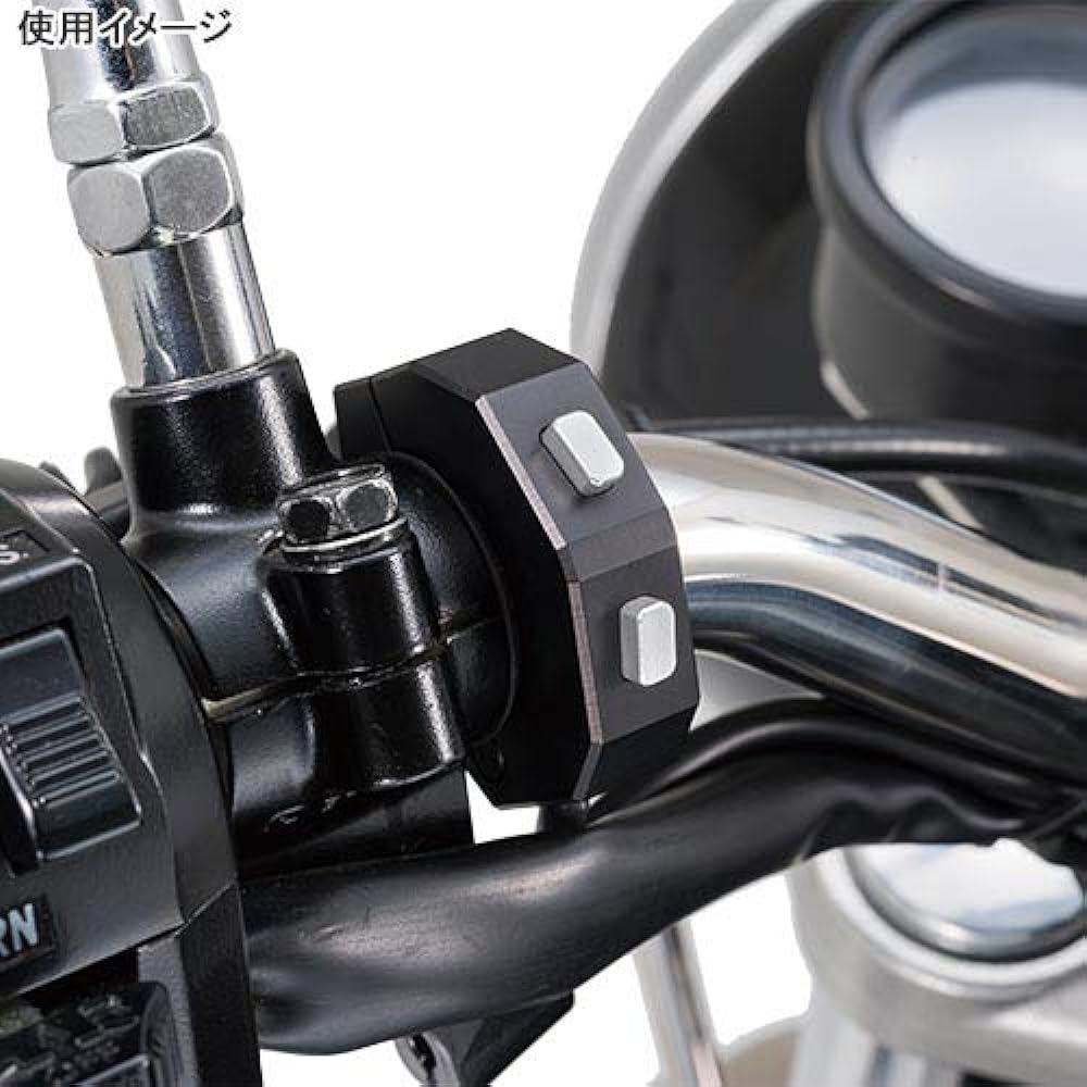 Daytona Motorcycle VELONA Meter Option 2 Button Push Switch Black 91747