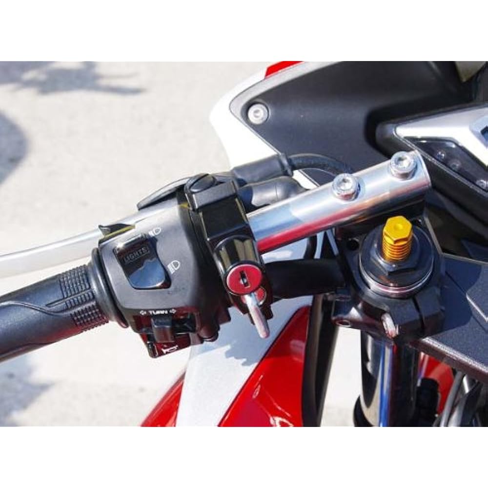 BABY FACE Helmet Lock Mirror Holder Type M10 Mounting Pitch 32mm StreetTriple Others Silver 009-LC132SV