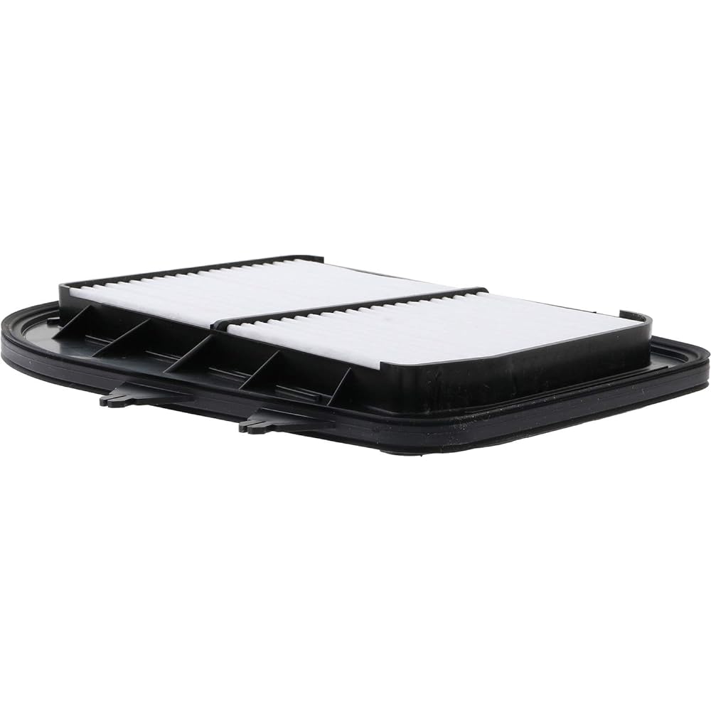 ACDelco A2944C Professional Air Filter
