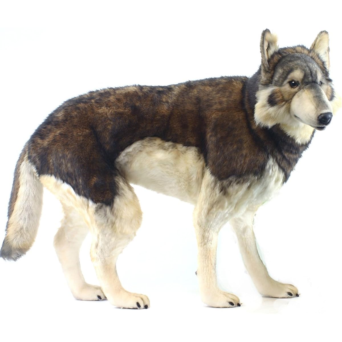 Shinrin Wolf No.5496