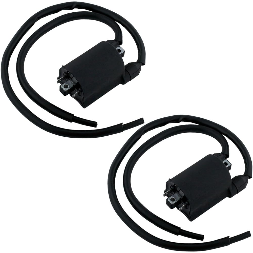 Caltric 2 Sets of Ignition Coils Fit Honda 1100 VT1100C VT-1100C VT1100 C2 VT1100 C3 Shadow 1987-2000