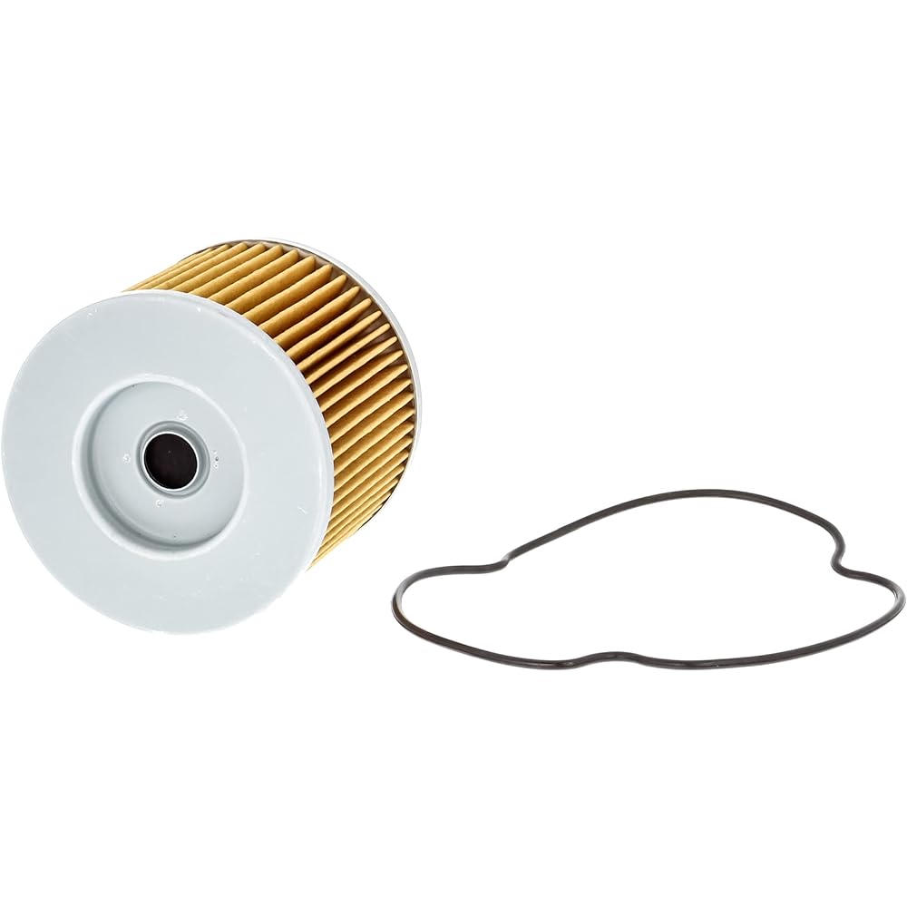 Fram CH6001 Oil filter for motorcycle