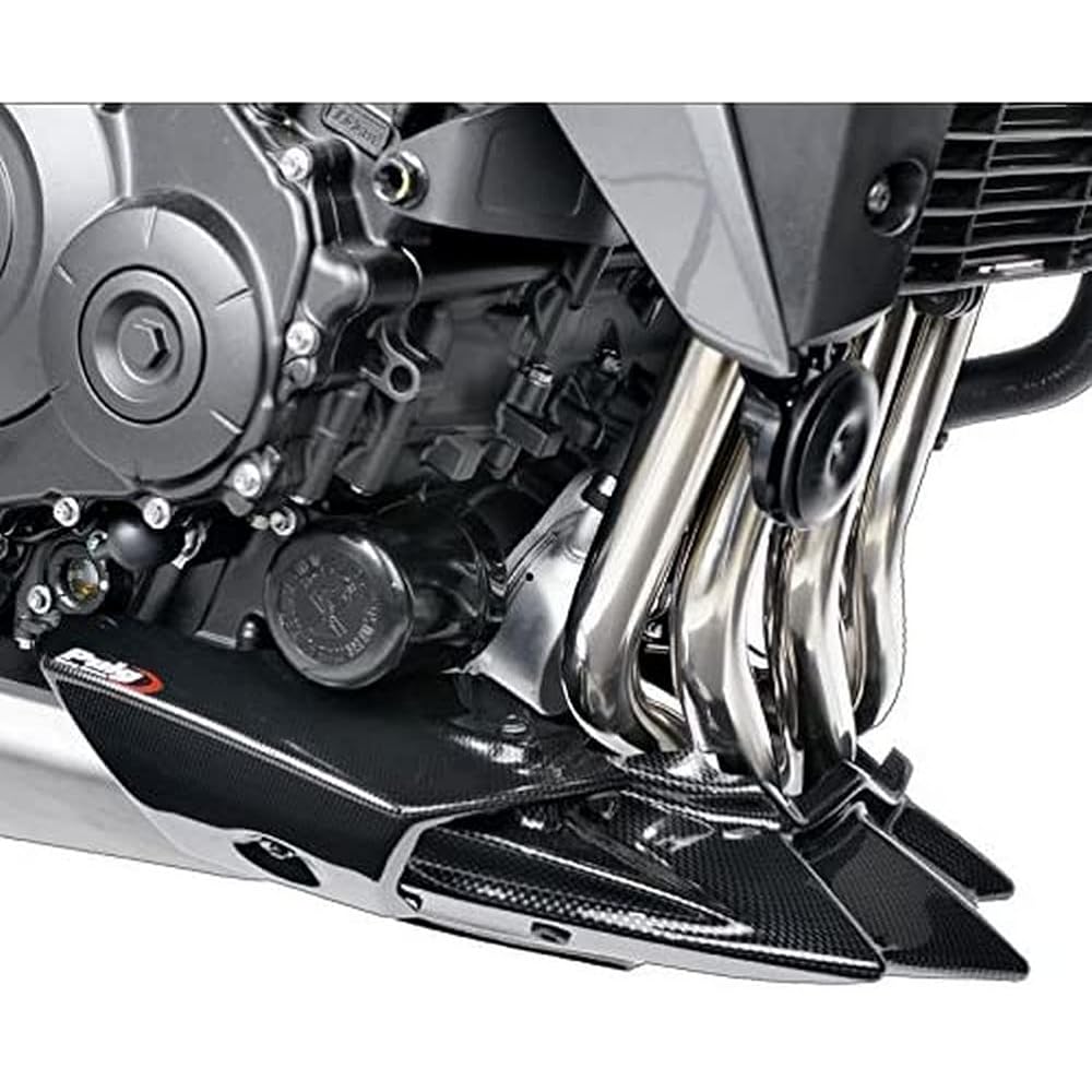 Puig Engine Spoiler Carbon Look 4696C 4696C