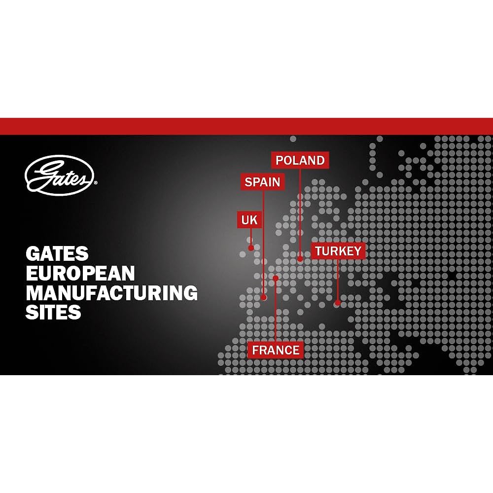 GATES K060975 Multi V -Belt