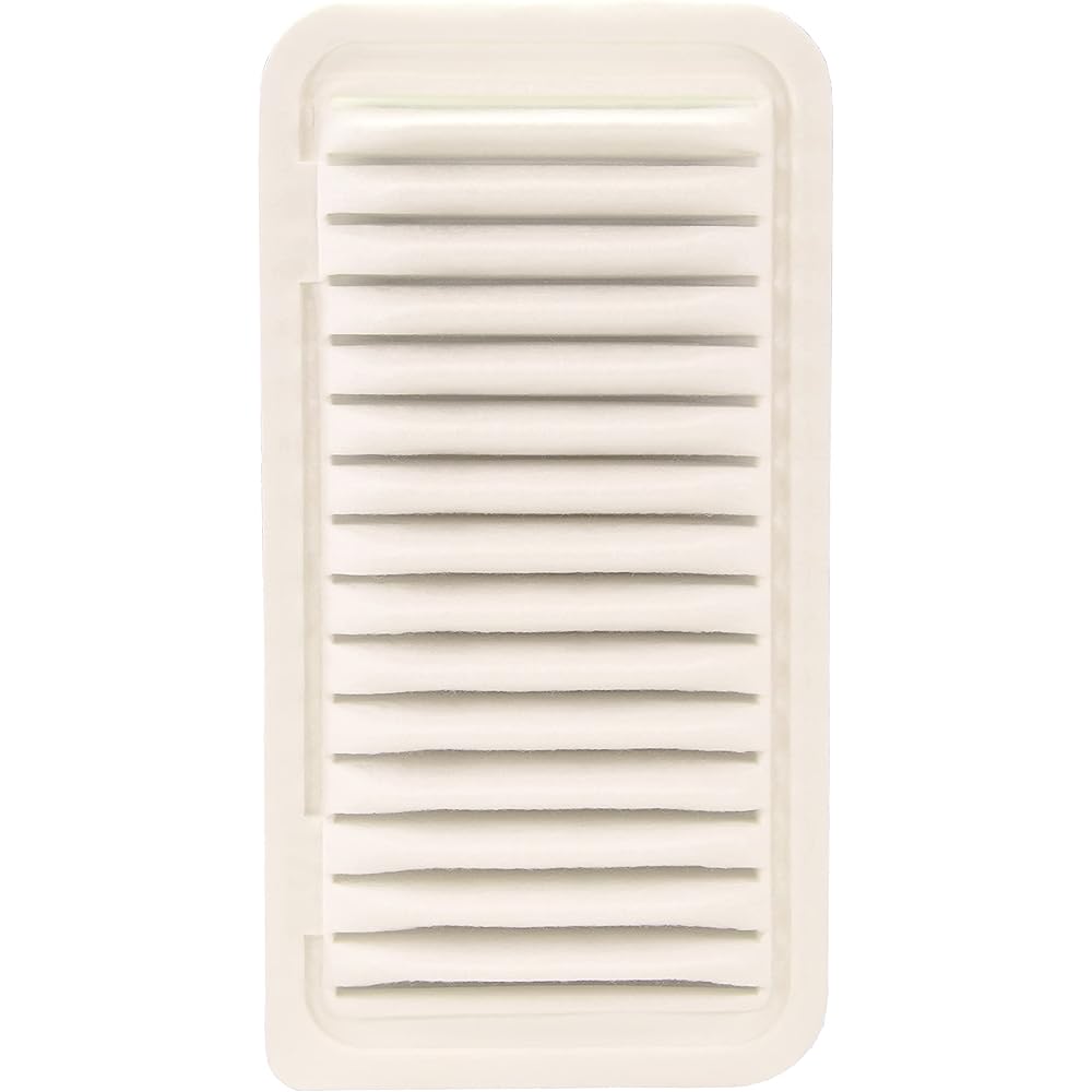 ECOGARD XA5463 Air filter
