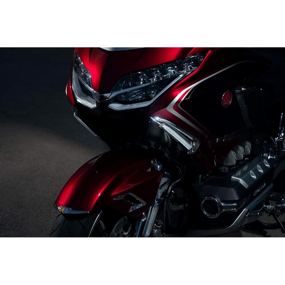 For Vent Trim Gold Wing with TWINART