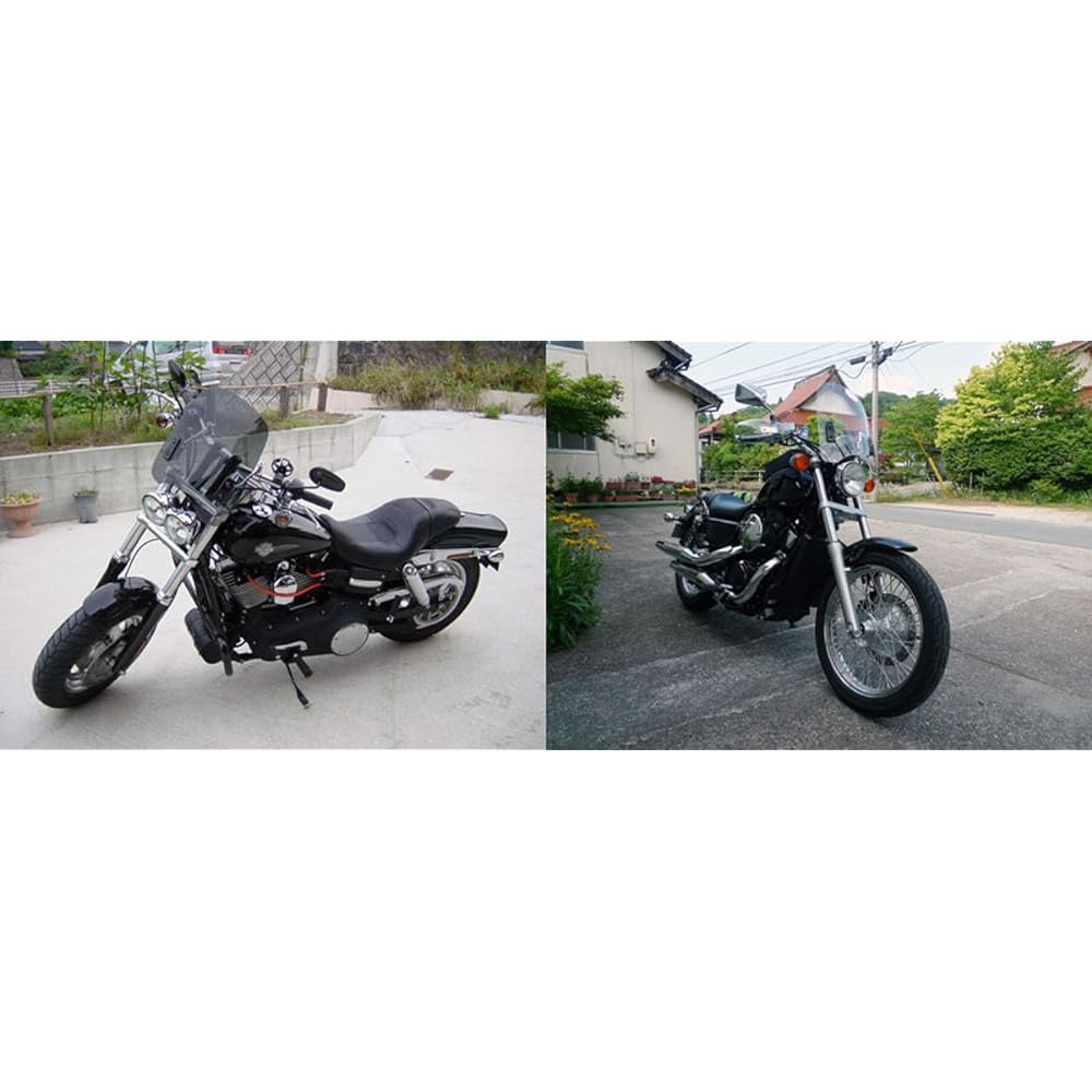 World walk general purpose windscreen WS-03L clear ws-03lc