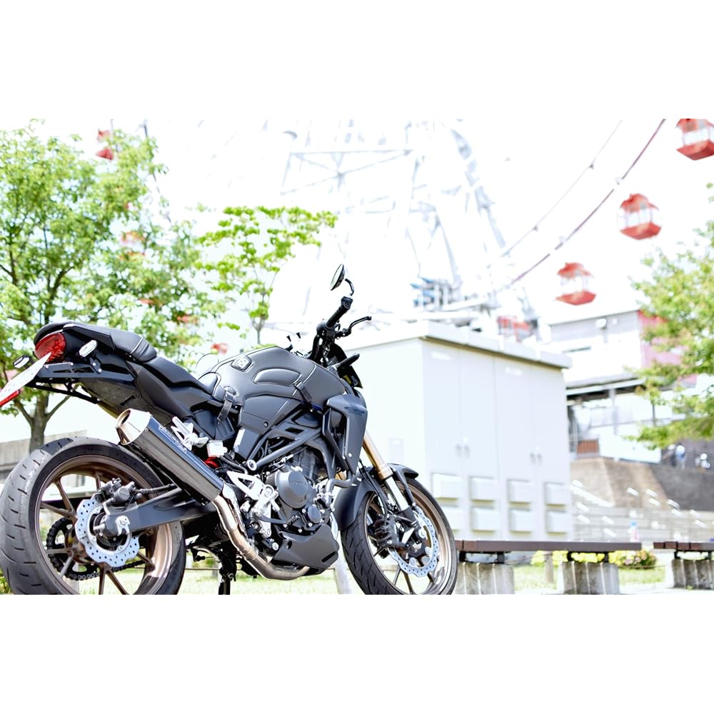 BAGSTER Tank Cover Matte Gray CB300/CB250R 18-20 1762D
