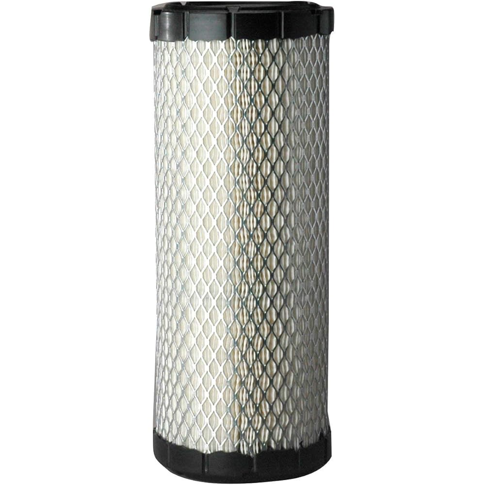 Donaldson P821575 Air filter primary (2 packs)