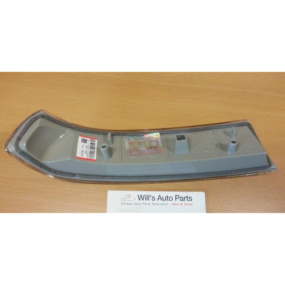 Genuine Hyundai 87623-3J000 Mirror Lamp Acemburi Right Right