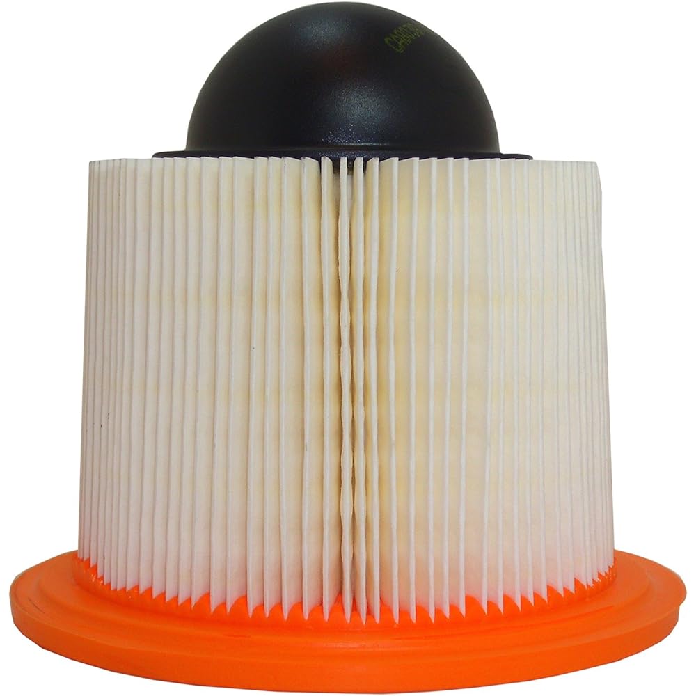 Fram Group CA8039Air Filter-Air Filter (Parallel Import)