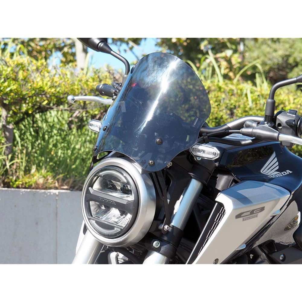 World Walk CB125R/250R meter visor middle smoke ws-31sm